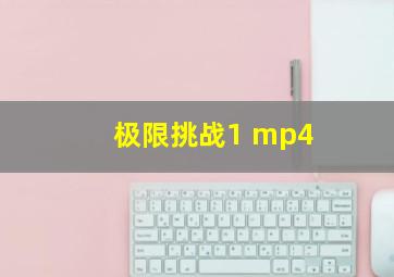 极限挑战1 mp4